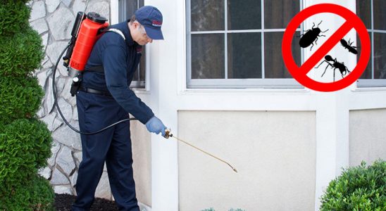 Kozluk Karınca İlaçlama böcek ilaçlama ve haşere kontrolü — ilaclama-tr.com